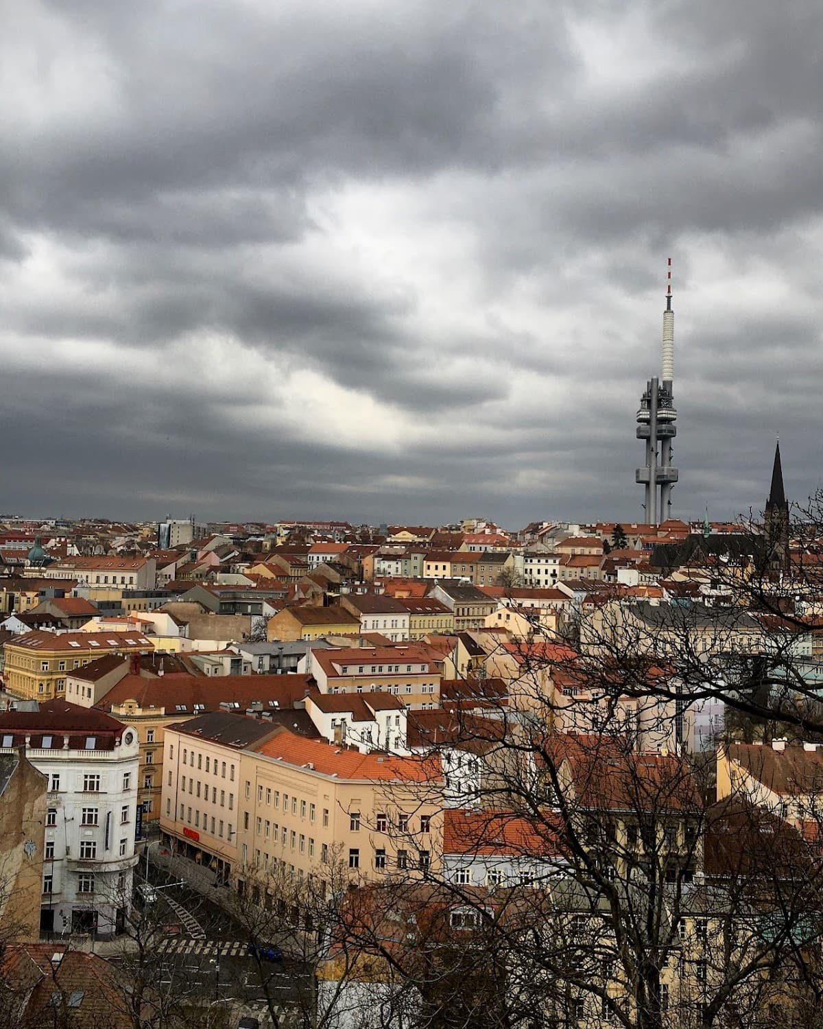 Žižkov