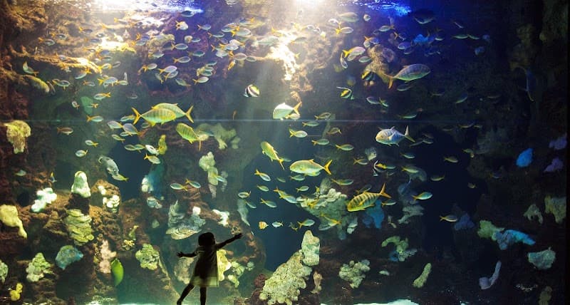 Aquarium San Sebastián