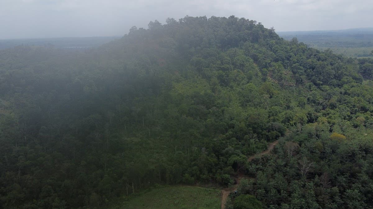 Bolaven Plateau