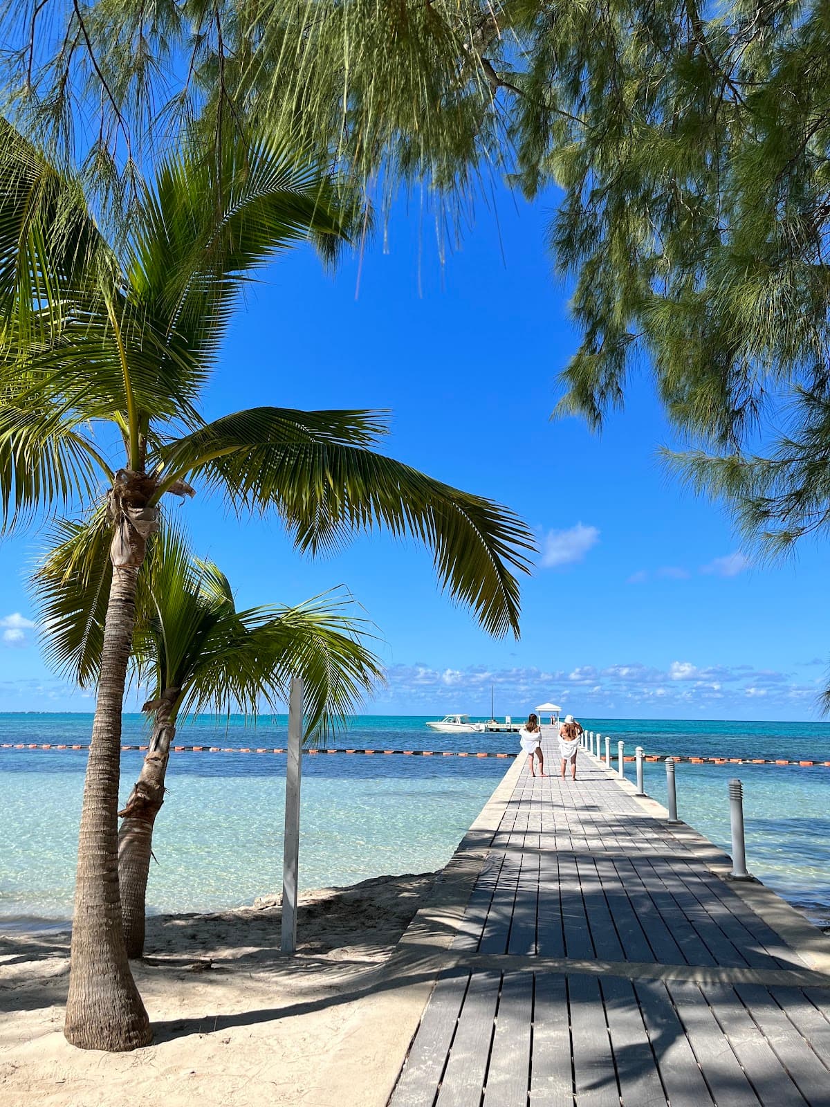 Cayman Islands (Grand Cayman)