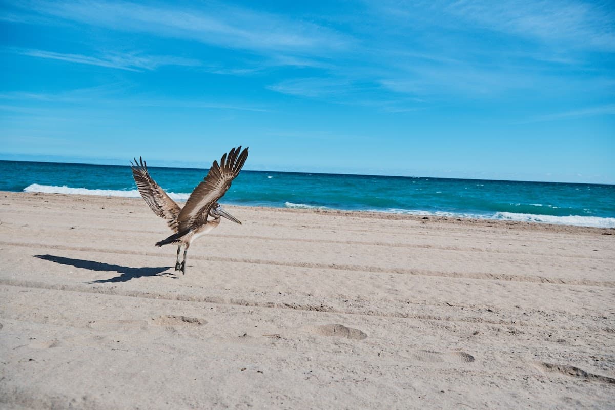 Fort Lauderdale