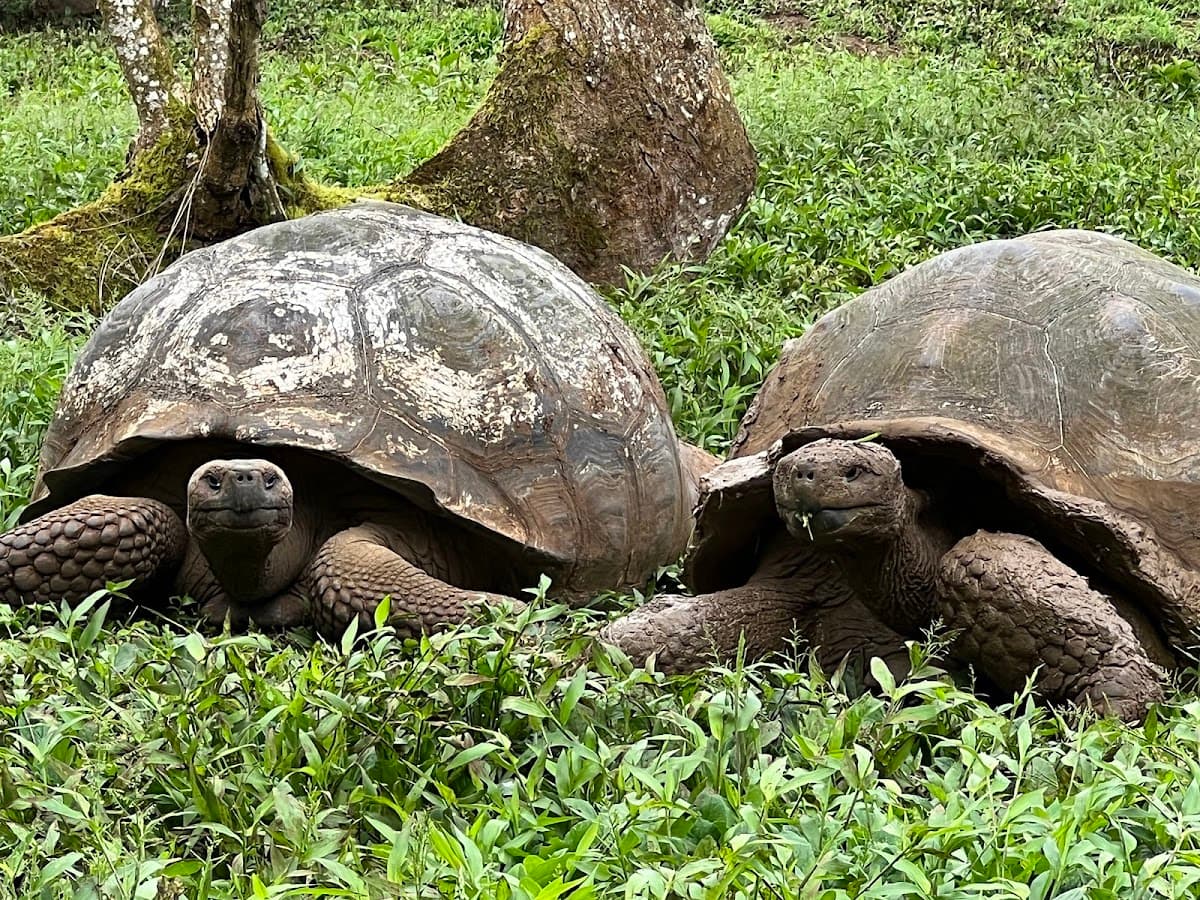 Galápagos National Park