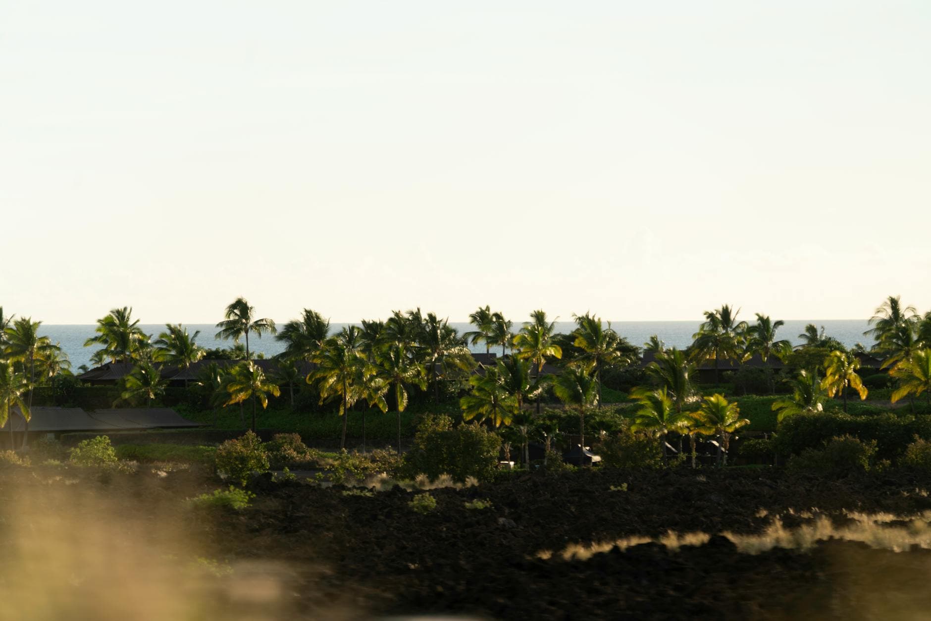 Hilo