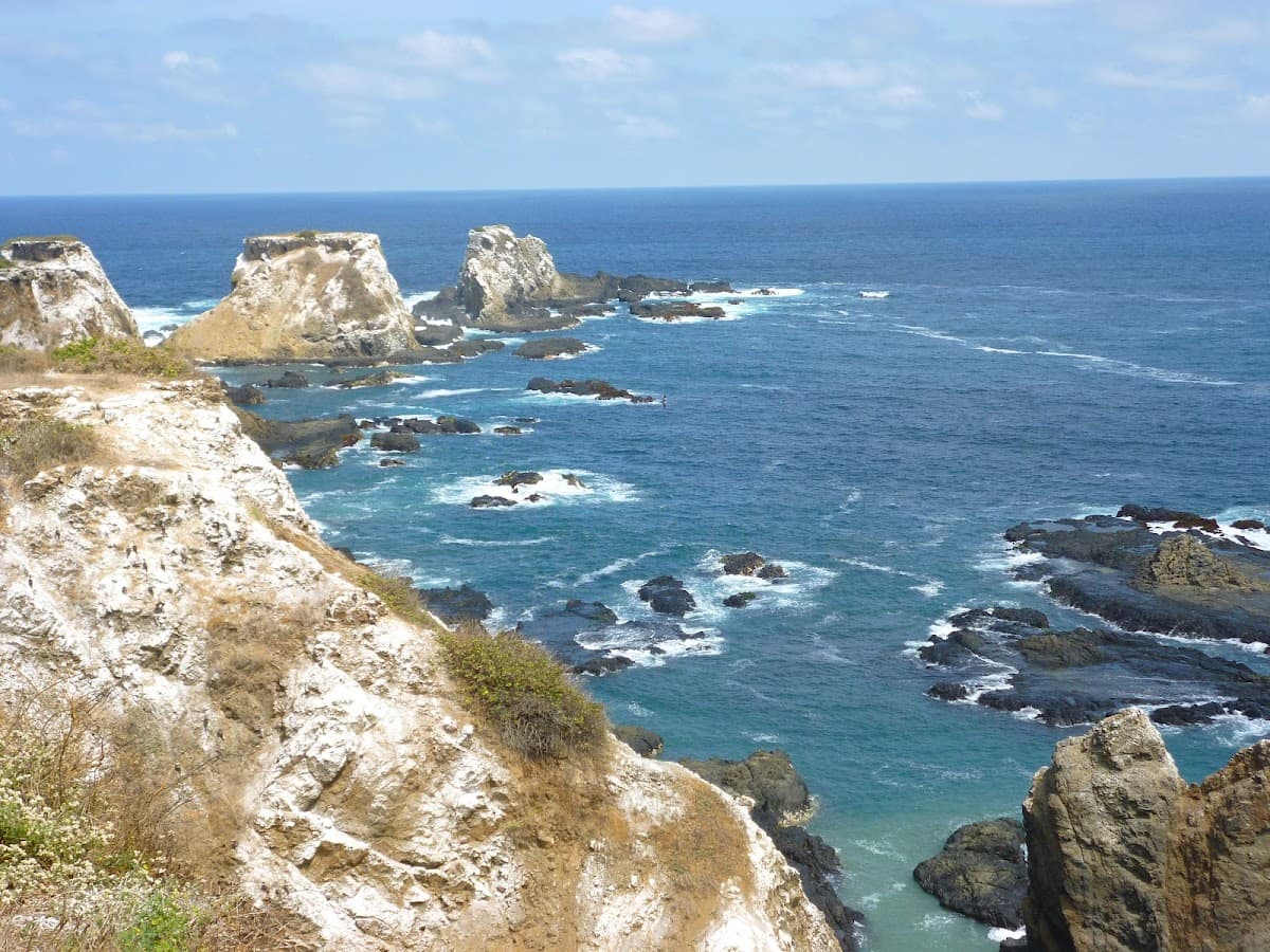 Isla de la Plata