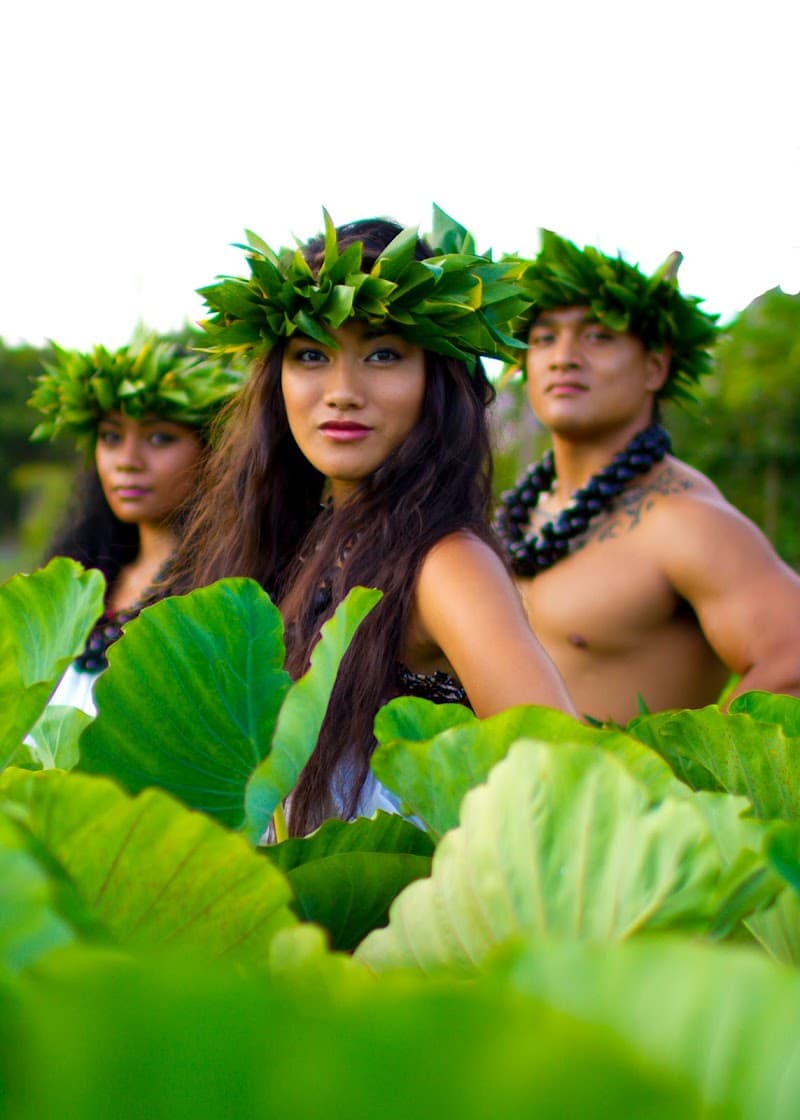 Island Breeze Luau