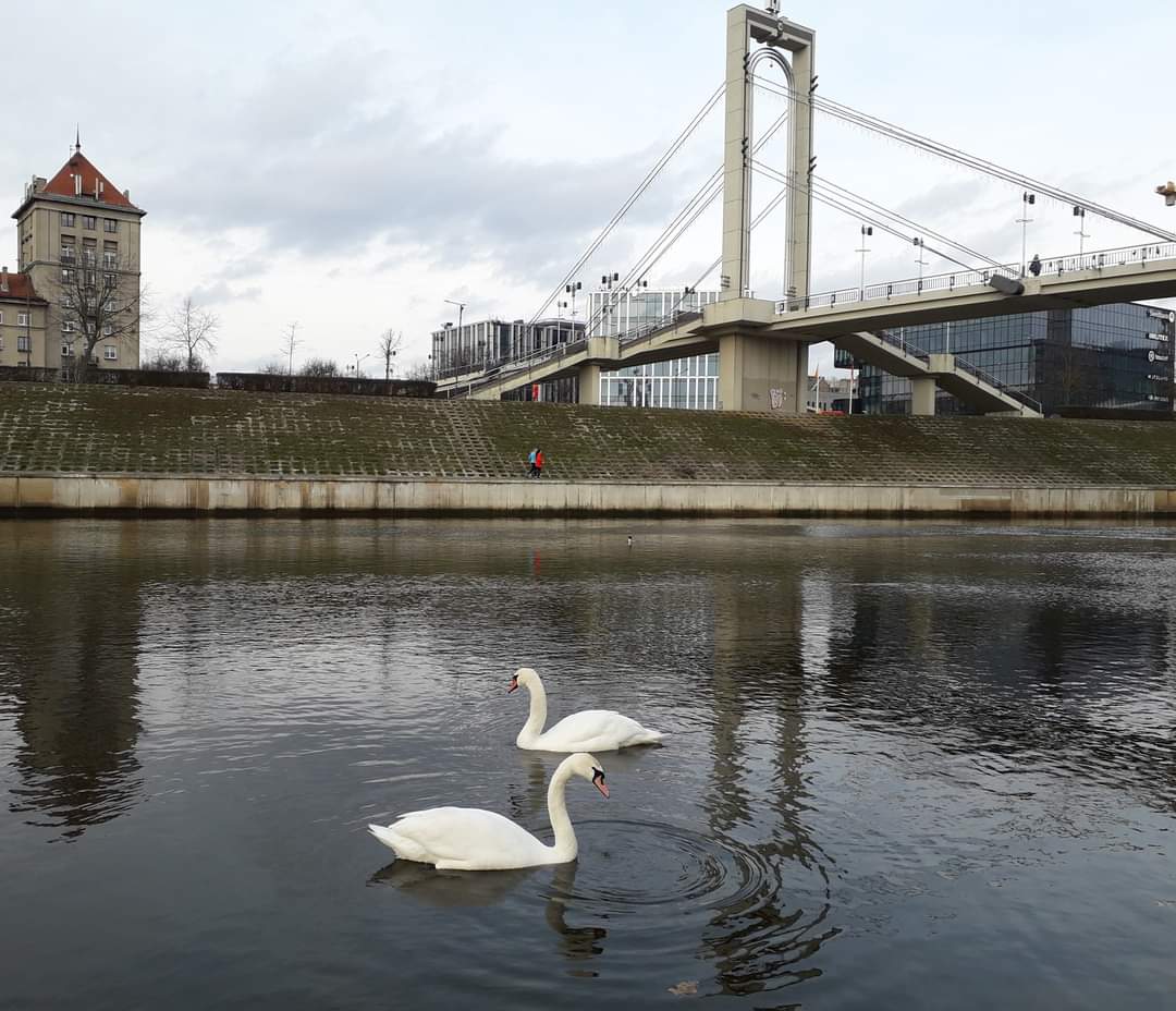 Kaunas