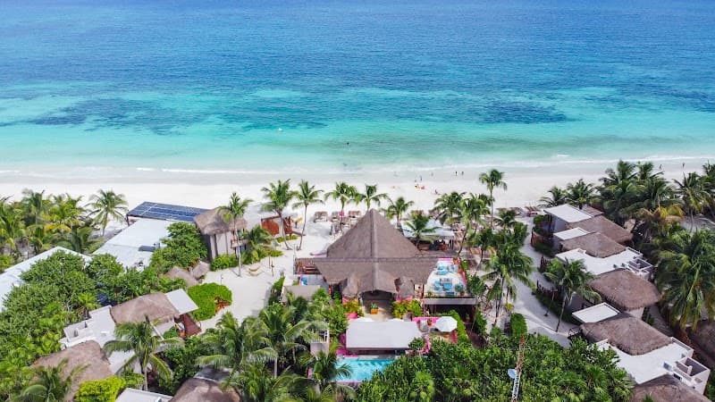 La Zebra Beach Club - Beachfront Restaurant