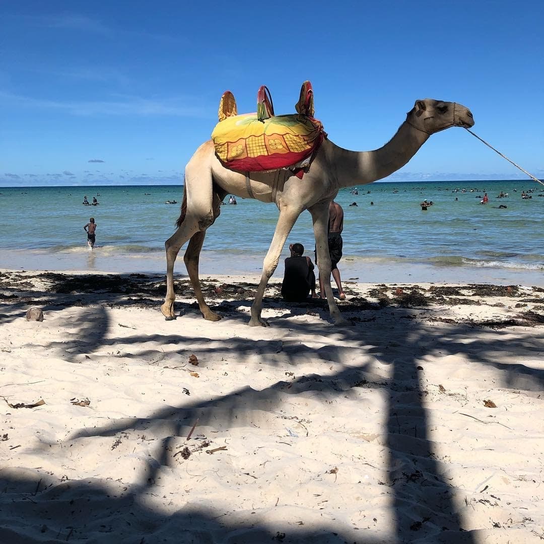 Mombasa