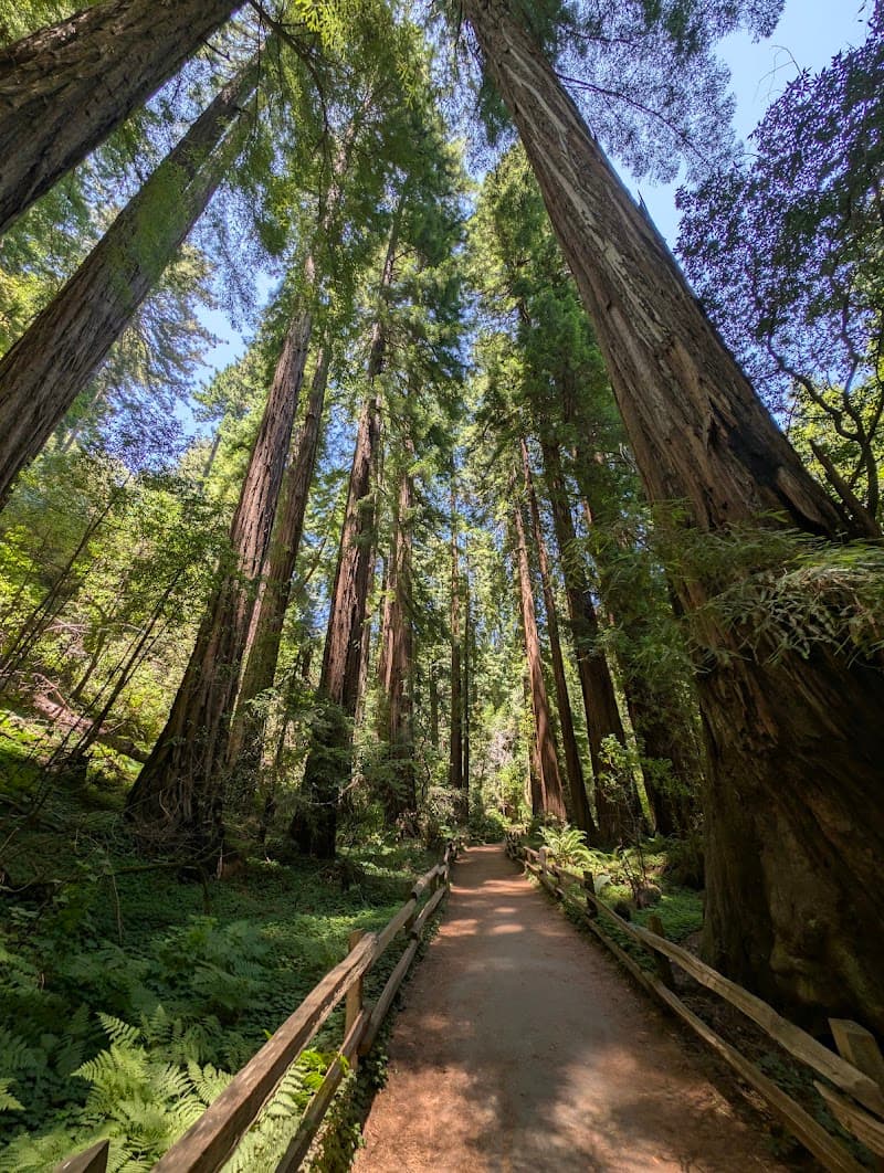 Muir Woods National Monument