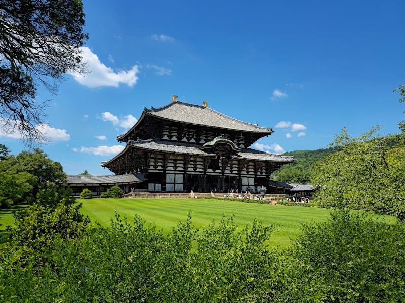 Nara Park Deer Encounter