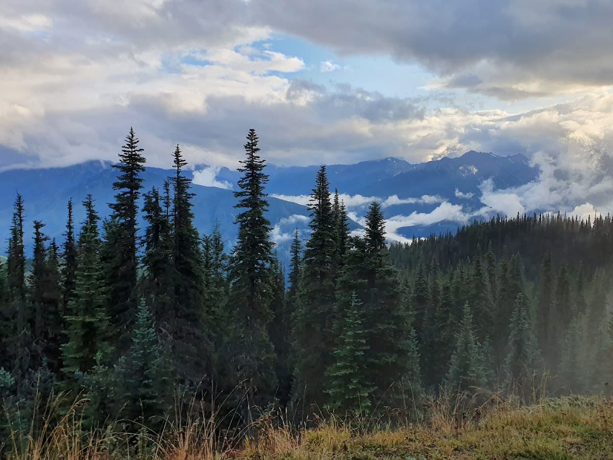 Olympic National Park