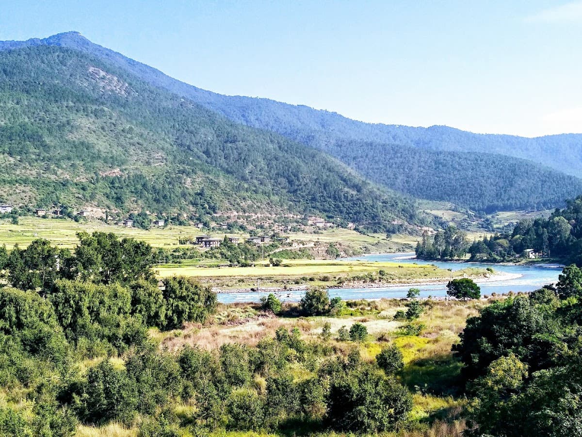 Paro
