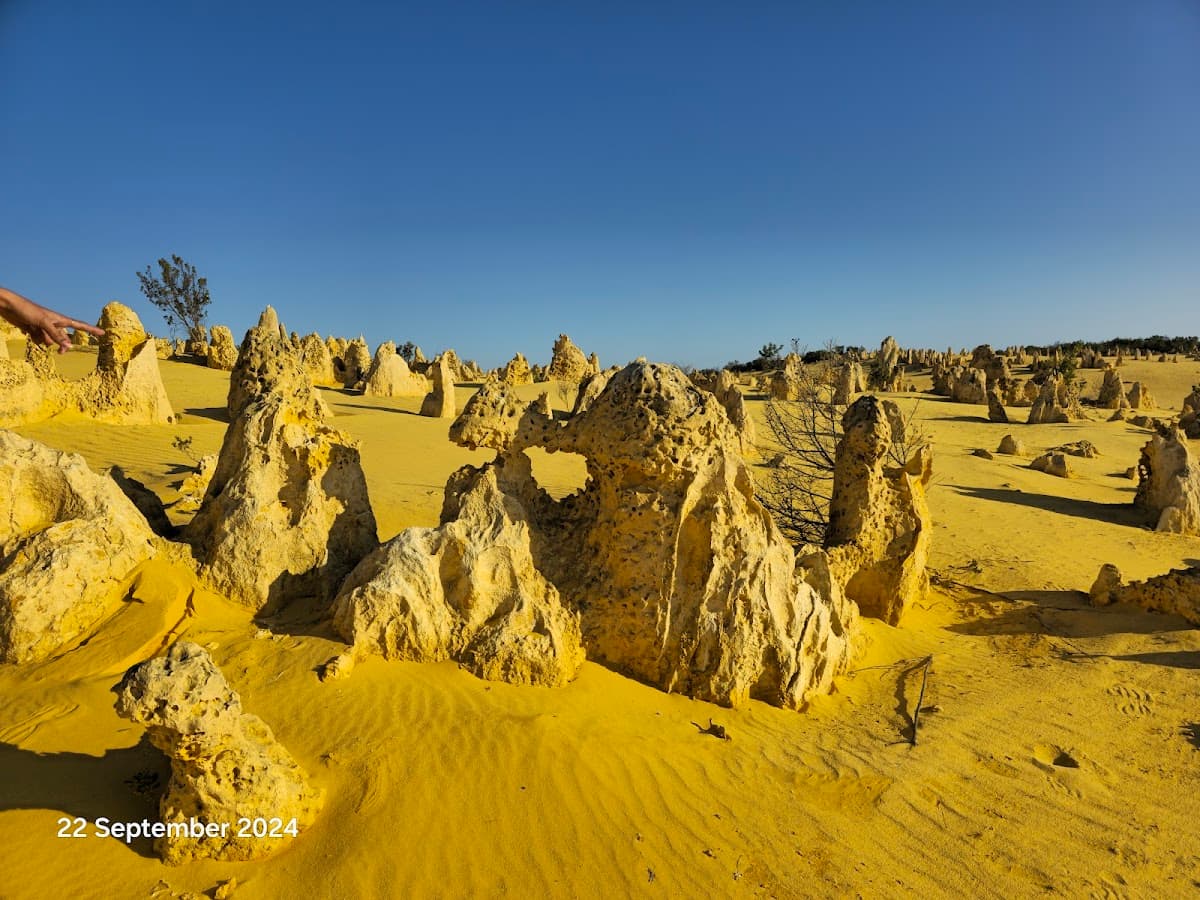 Pinnacles Desert