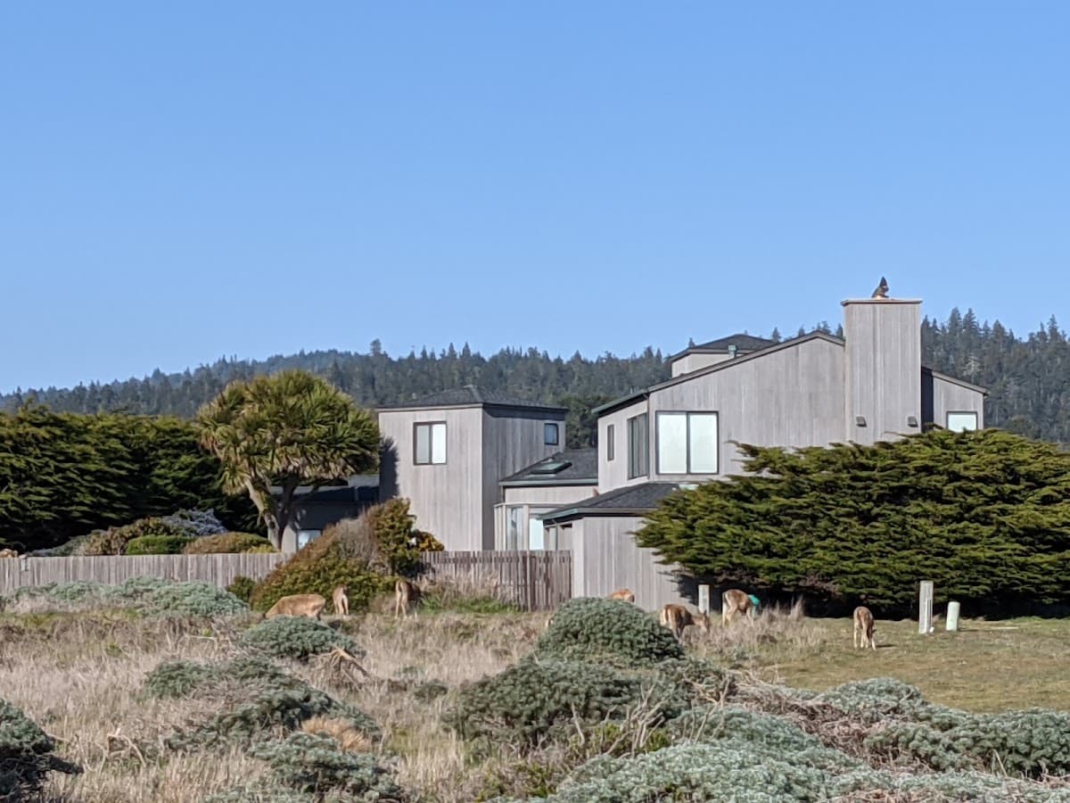Sonoma Wine Region