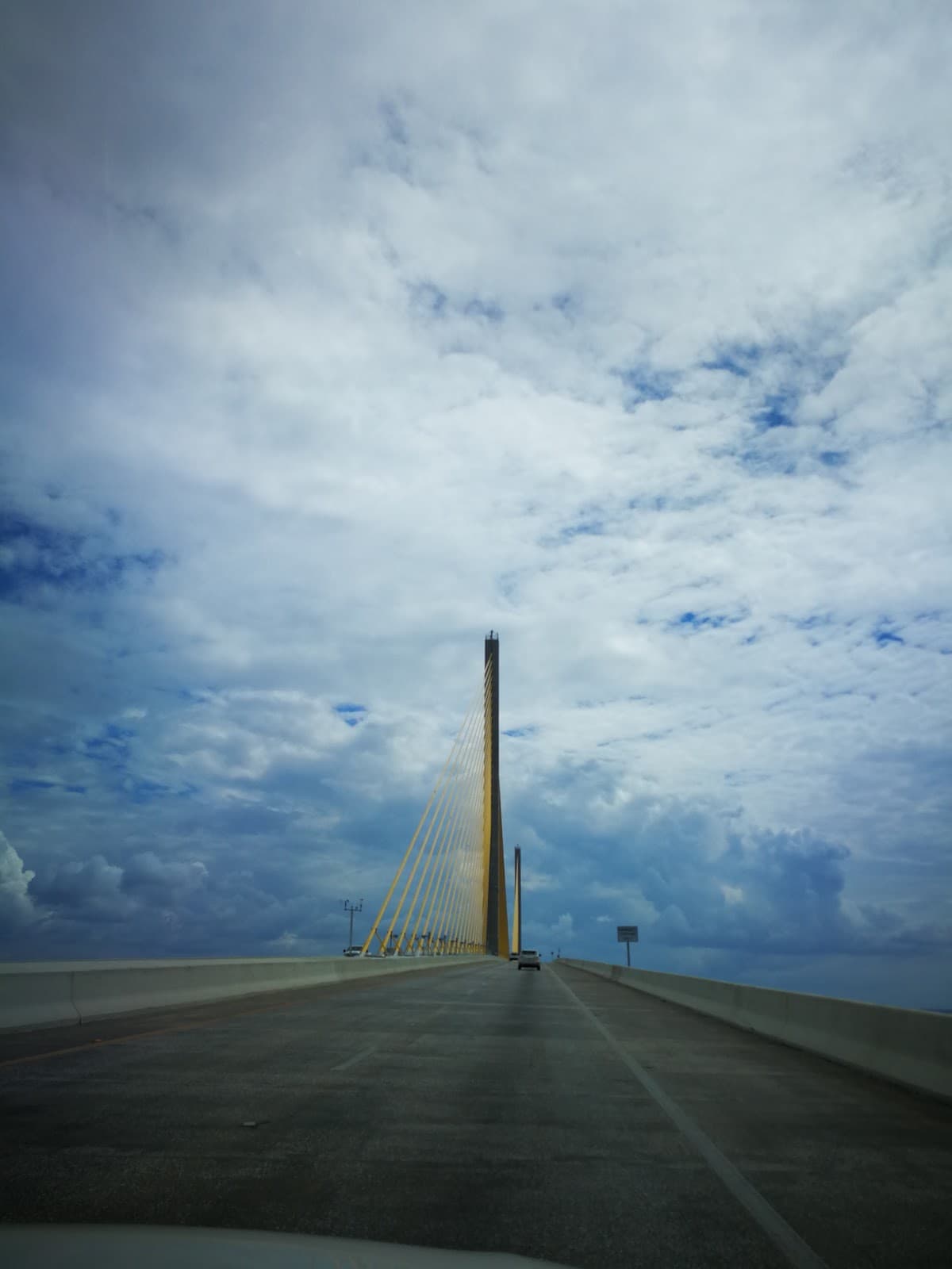 Tampa Bay Area
