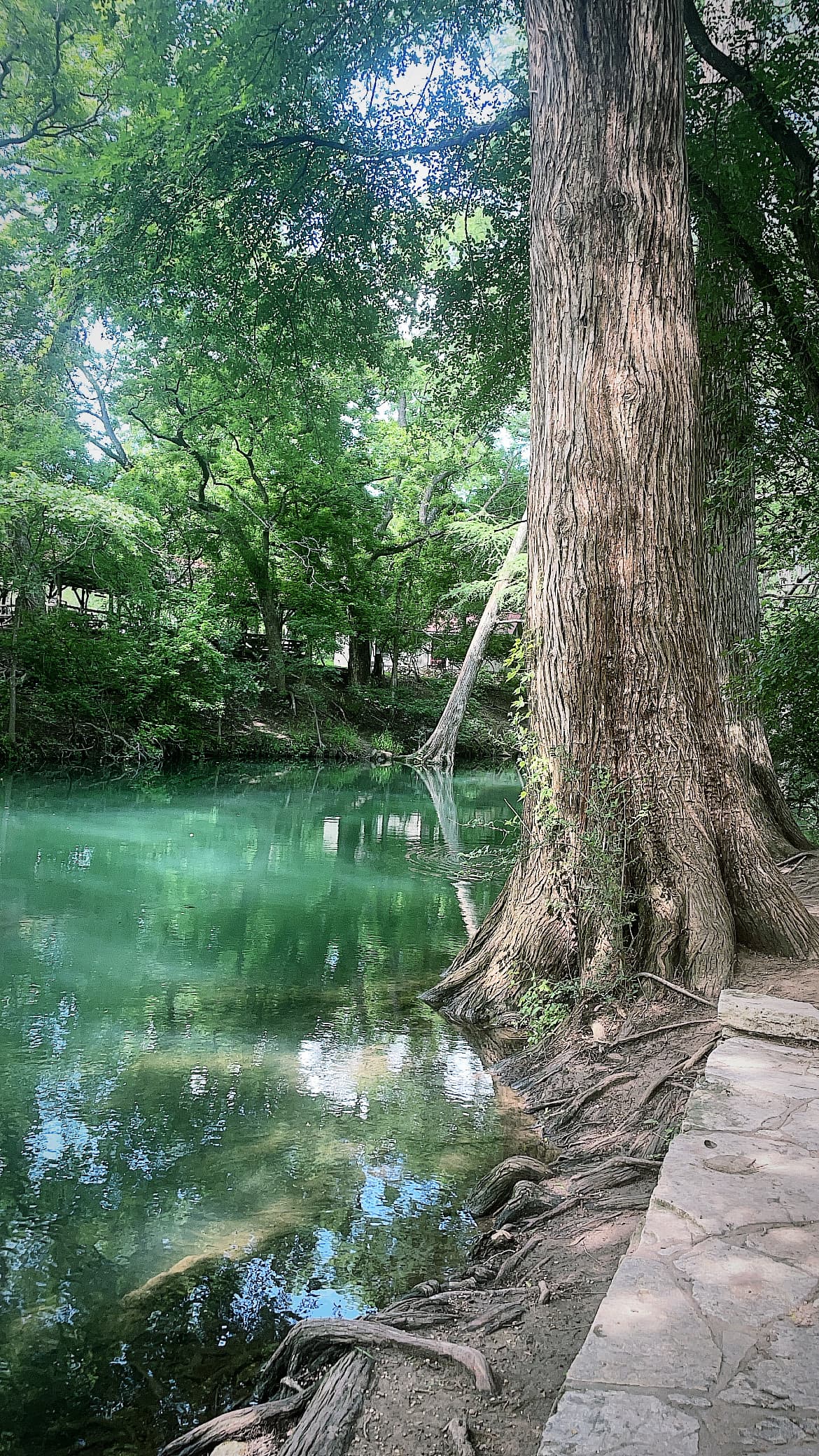 Texas Hill Country