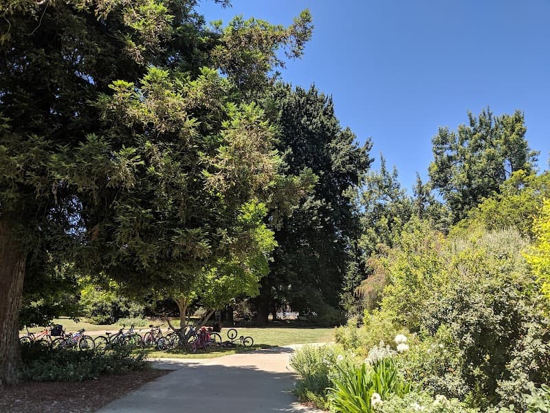 UC Davis Campus