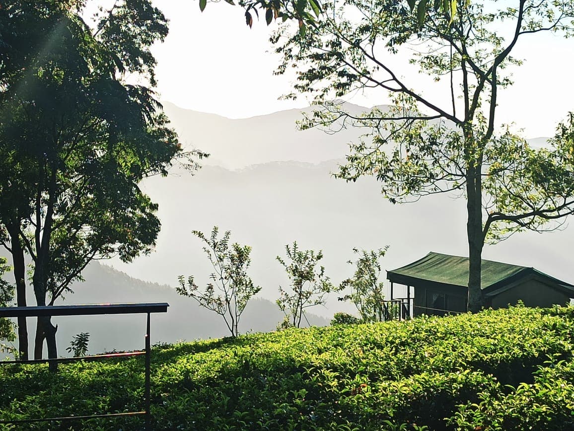 Madulkelle Tea & Eco Lodge