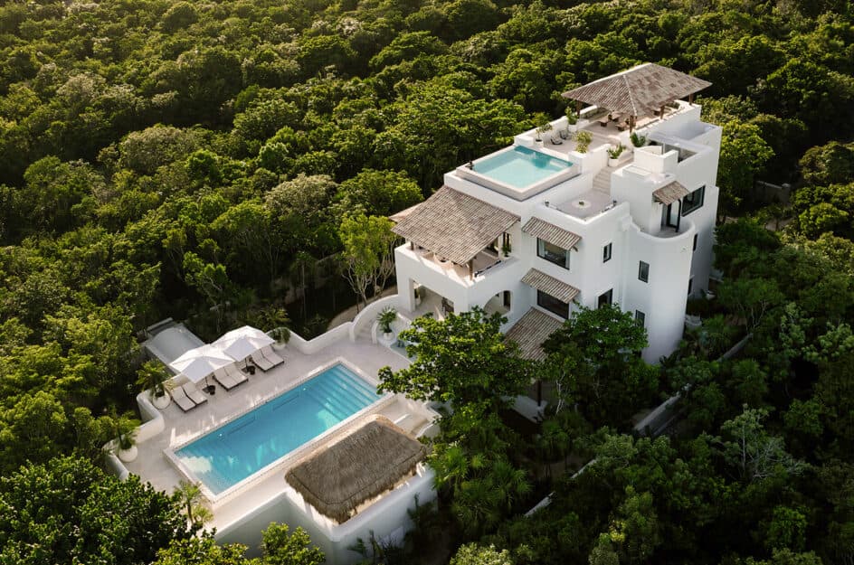 Jungle Suite