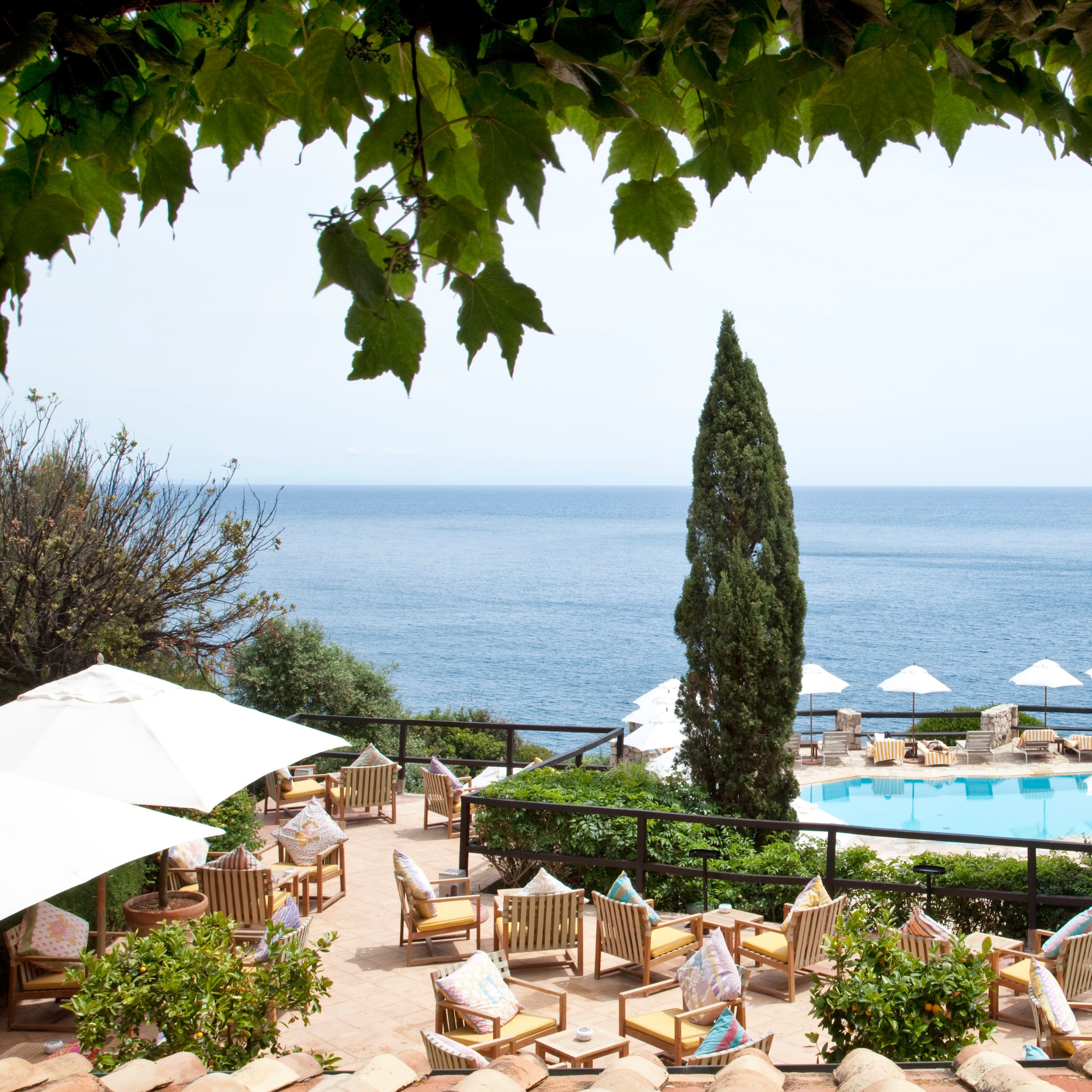 Il Pellicano