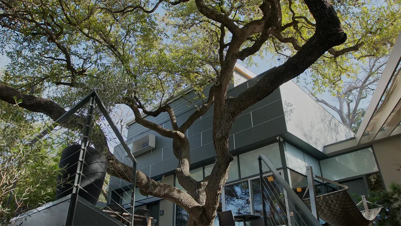 Frame Hotel - Treehouse