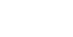 Next Level X