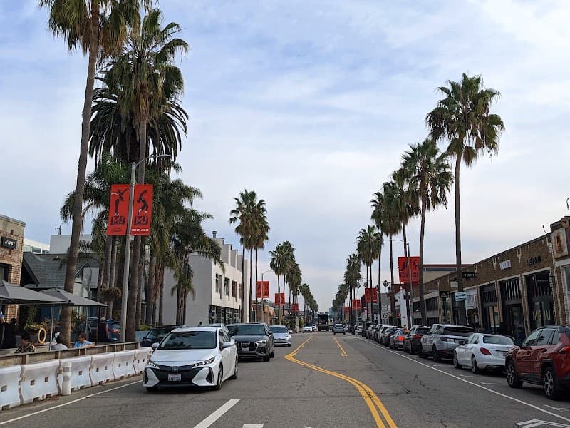 Abbot Kinney Boulevard Evening Stroll