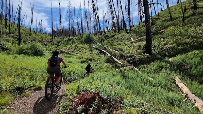 Adam’s Gulch Trail Area (Easy Loop Options)