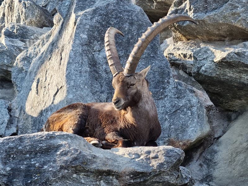 Alpenzoo Innsbruck