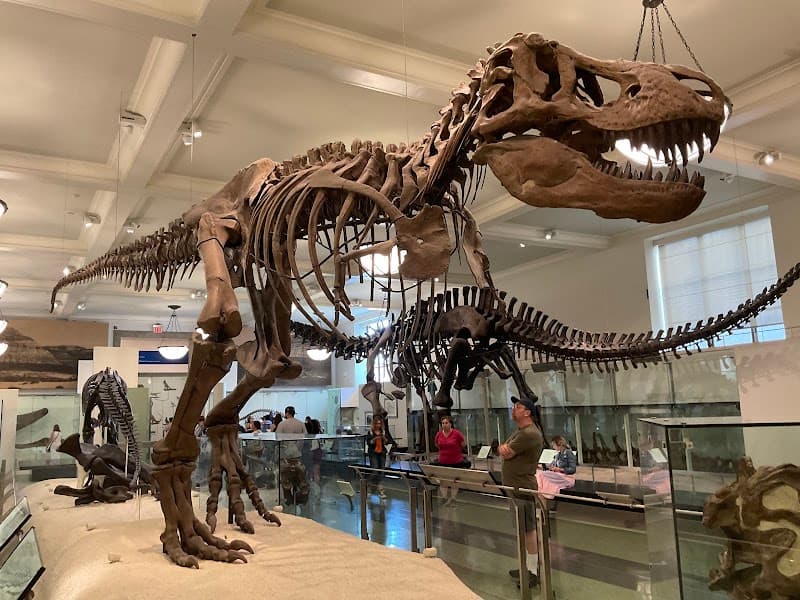 American Museum of Natural History & Nearby Central Park Wildlife