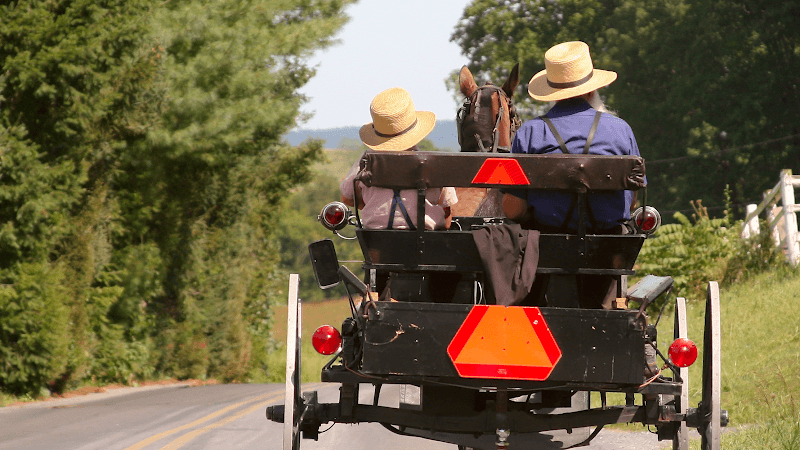 Amish Farm and House (Farm Tour)