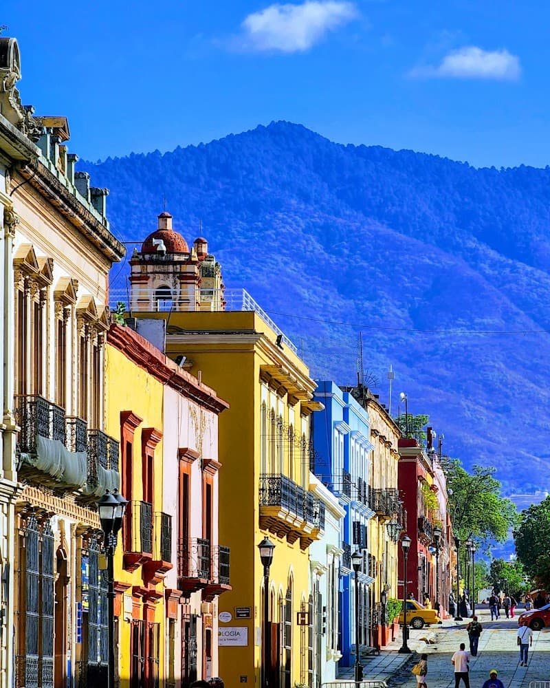 Andador Turístico (Calle Macedonio Alcalá) Stroll