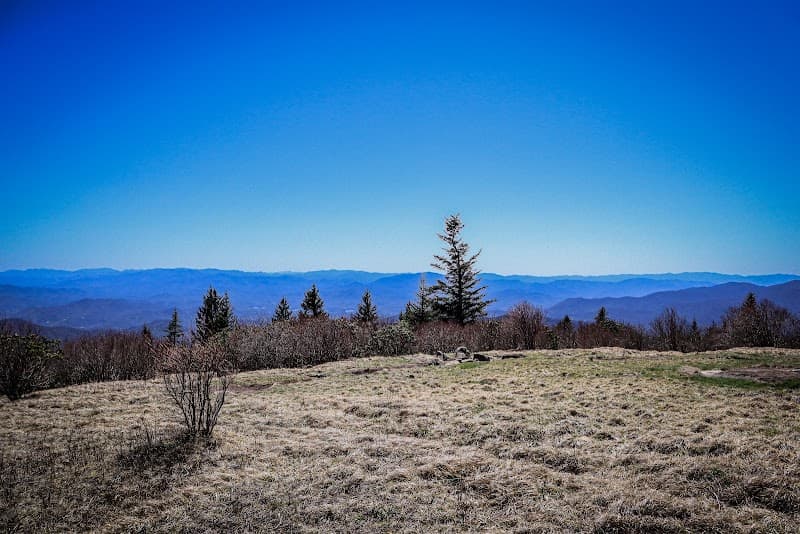 Andrews Bald Trail