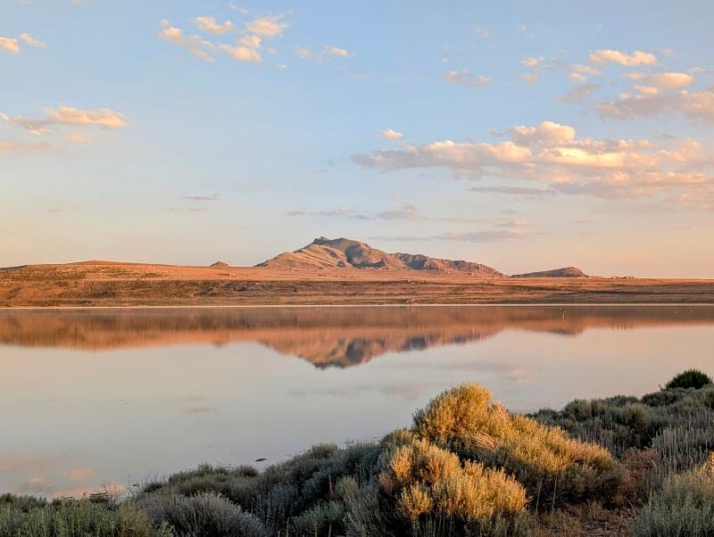 Antelope Island Wildlife Drive