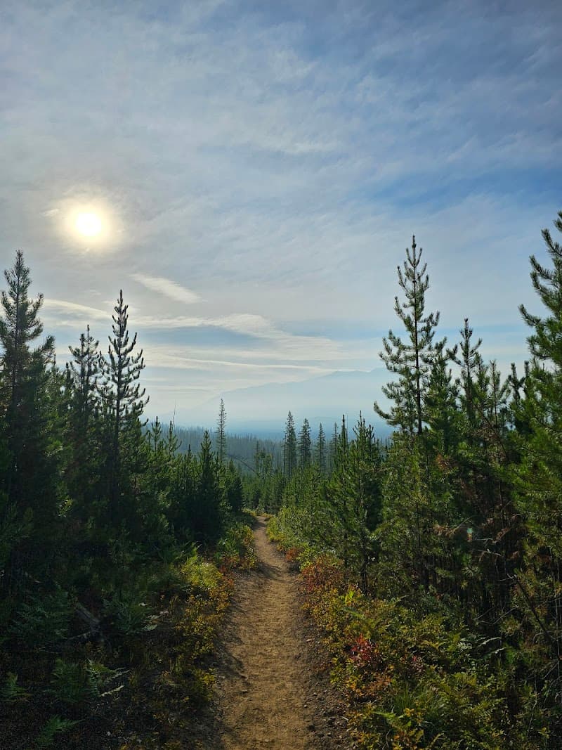 Apgar Lookout Trail (partial or full hike)
