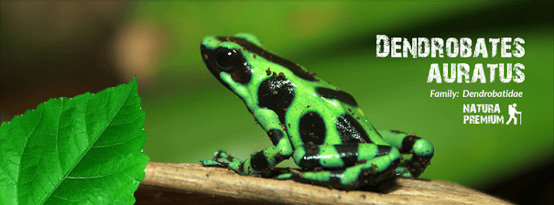 Arenal Natura Ecological Park