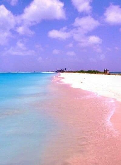 Shoestring Solo Escape to Harbour Island’s Pink Sands