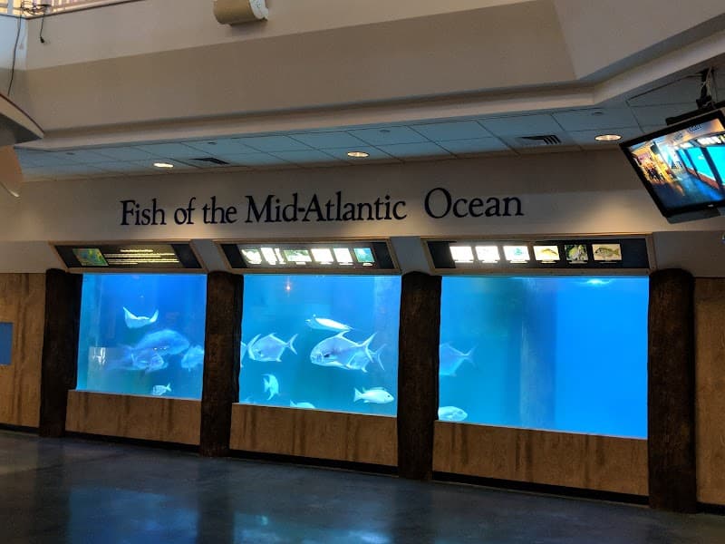 Atlantic City Aquarium & Gardner’s Basin