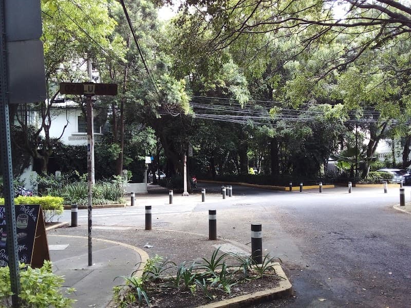 Avenida Amsterdam loop