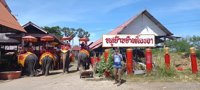 Ayutthaya Floating Market Visit