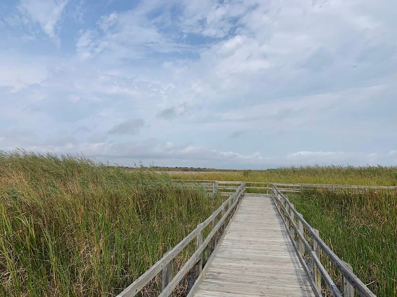 Back Bay National Wildlife Refuge (Optional Half-Day)