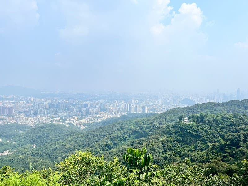 Guangzhou Jungle-Style Weekend: Temples, Towers, and River Glow