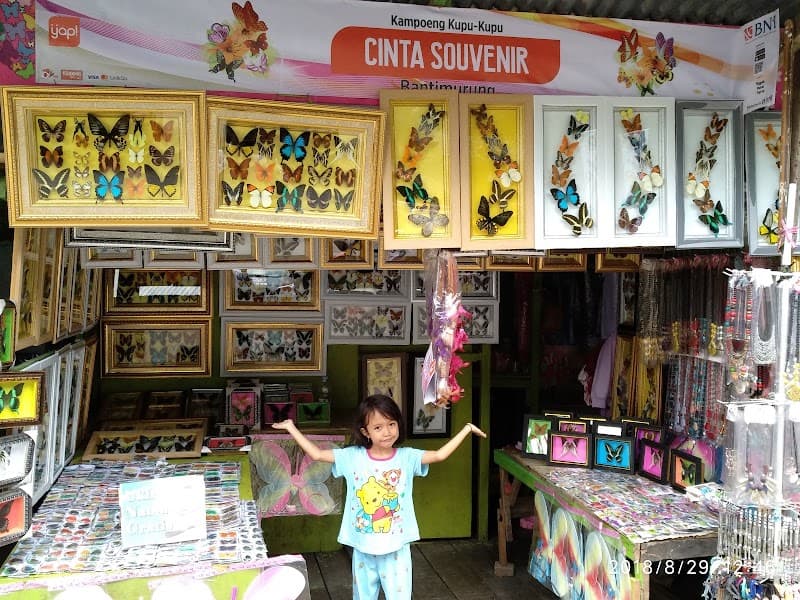 Bantimurung Waterfall & Butterfly Area