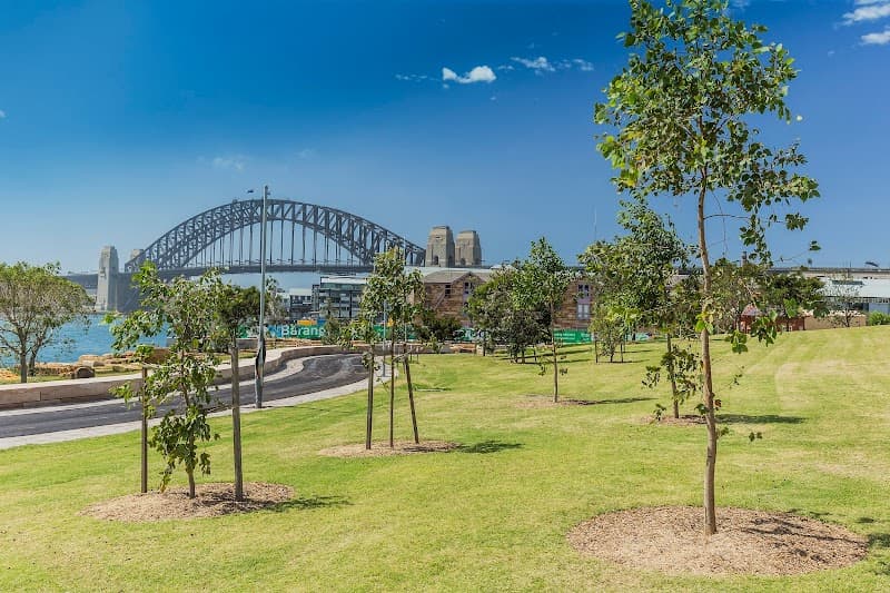 Barangaroo Reserve Coastal Walk