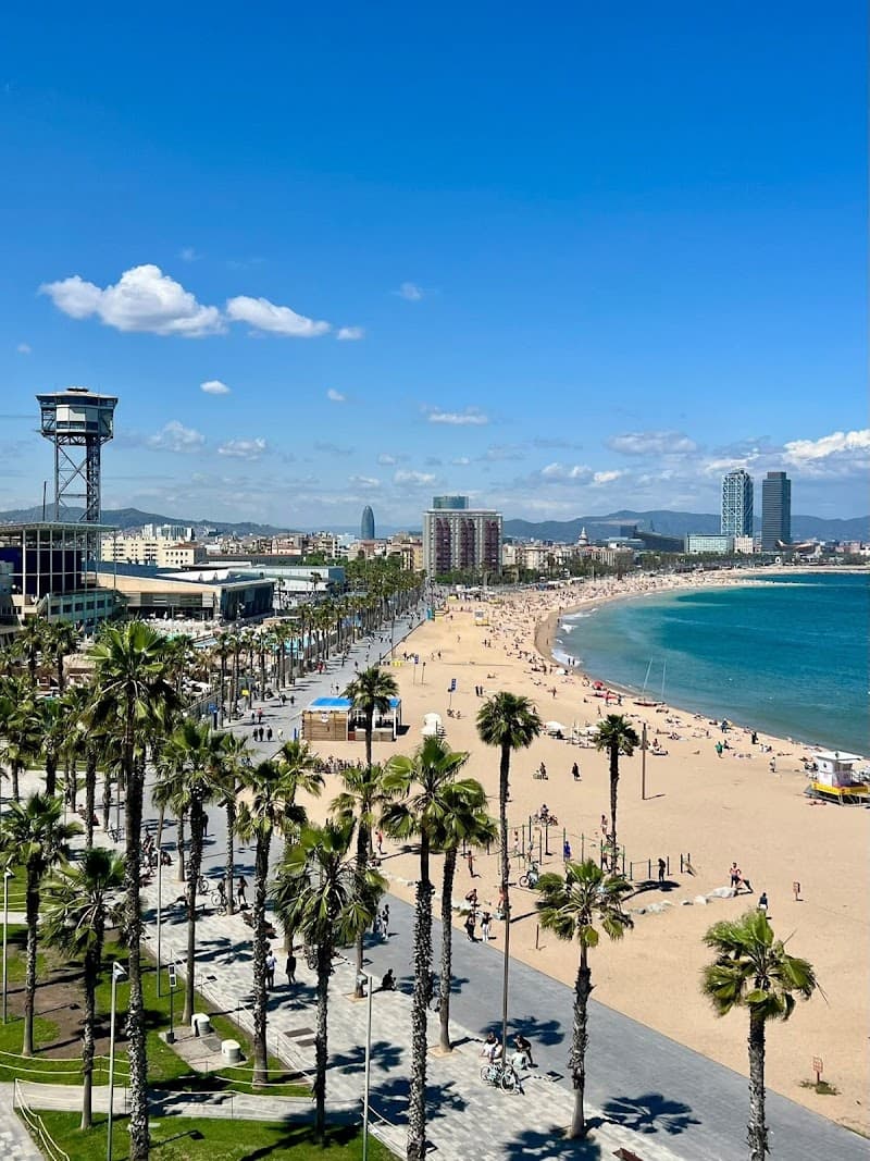 Barceloneta Beach & Passeig Marítim