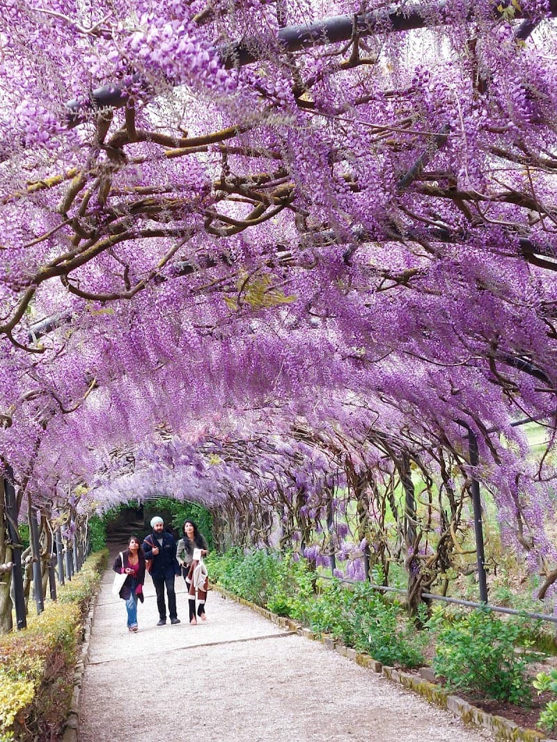 Bardini Gardens