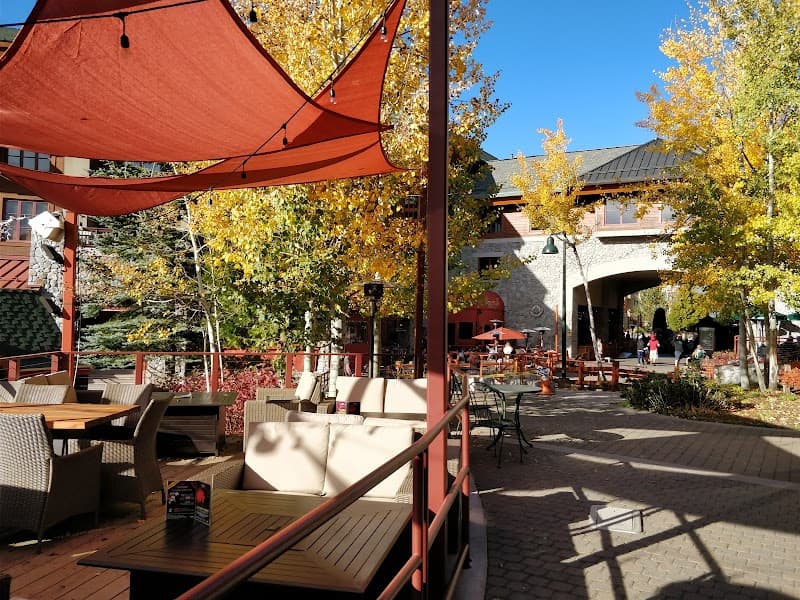 Lake Tahoe Nevada: Forest Shores & Calm Blue Days