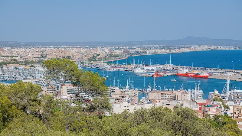 Bay of Palma Catamaran Cruise