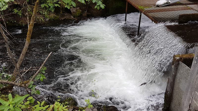 Bear Creek Weir Visit