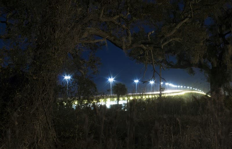 Biloxi Bay Bridge Walk